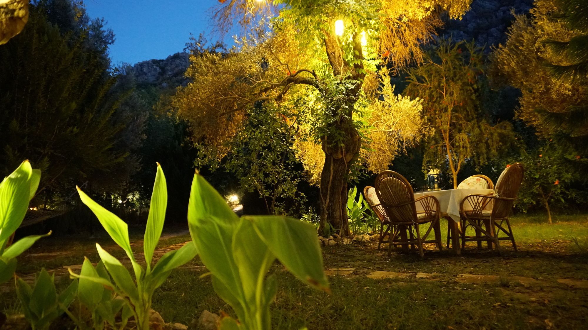 Datca Masal Gibi Extérieur photo