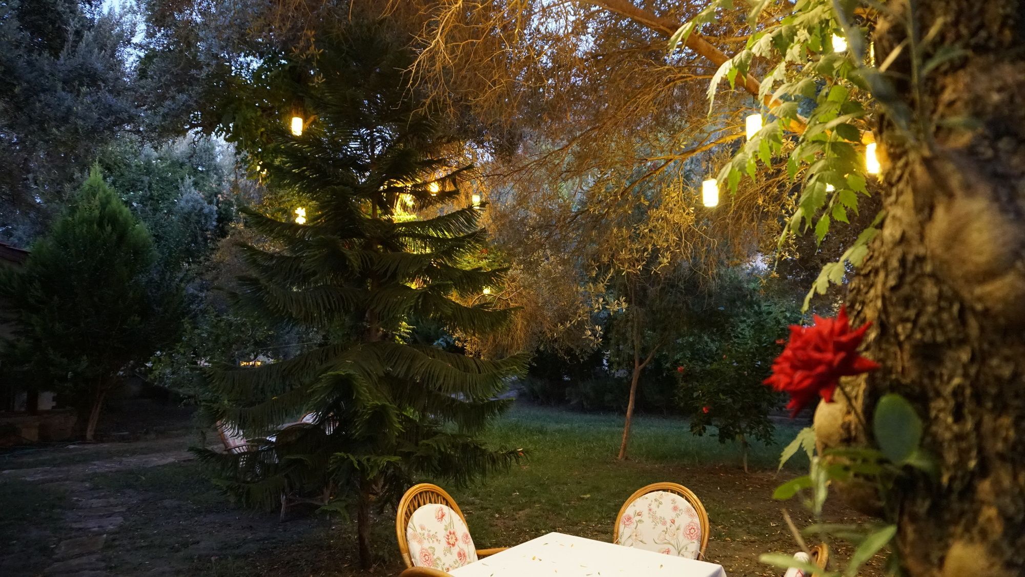 Datca Masal Gibi Extérieur photo